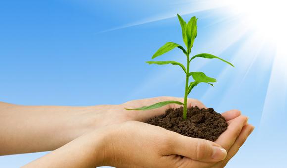 mk体育EDX光谱仪在环境标准HJ 780 -2015——《土壤和沉积物 无机元素的测量波长色散X射线荧光光谱法》上的应用方案