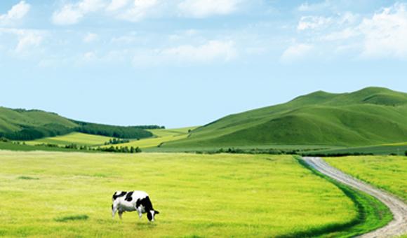 mk体育ICP3000在土壤监测中的应用解决方案