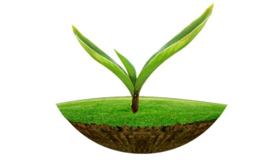 mk体育原子吸收及原子荧光在土壤监测中的应用解决方案